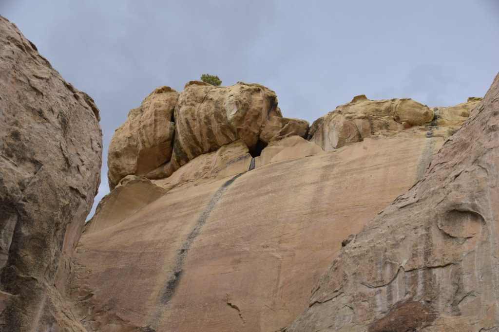 DSC_0701Mittel_.JPG